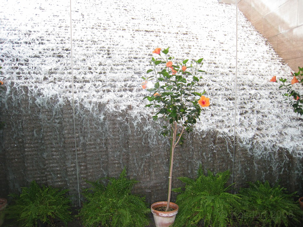 Wash DC 2009 4935.jpg - A 4th of July trip to Washington DC in 2009 to see the museums, memorials and fireworks.